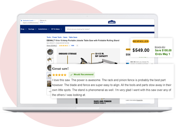 Product-Review-Extraction-Services