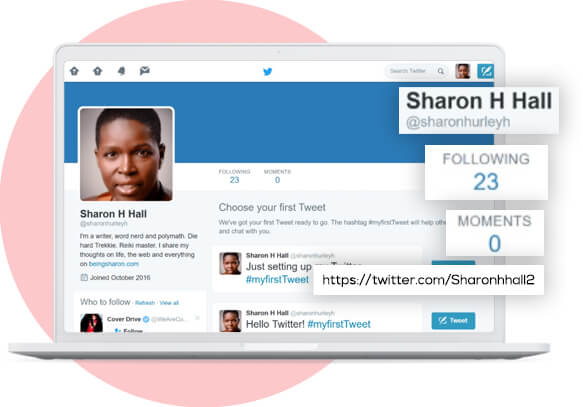 Twitter Data Scraping Scrape Tweet Historical Followers Profile Links etc