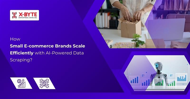 How Small E-commerce Brands Scale Efficiently with AI-Powered Data Scraping